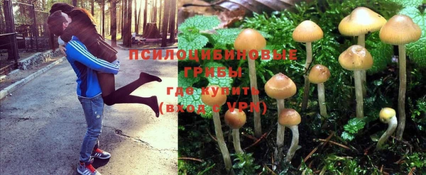 бутират Заволжье